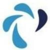 Platinum Accounting Australia Logo