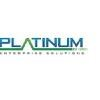 Platinum Enterprise Solutions Logo