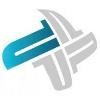 Platinum Force Logo