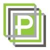 Platinum Intelligent Data Solutions Logo