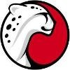 Playtika Logo