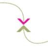 Plexus Chamber of Commerce for the LGBT Community and Allies Logo