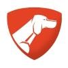 Pointer Cielo Logo