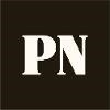 Polar Notion Logo