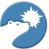 Polar Power Logo