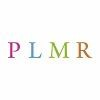 Political Lobbying & Media Relations Logo
