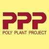 Poly Plant Project Logo