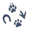 Poudre Pet Feed and Supply Logo