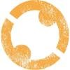 Practical Action Logo