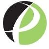 Practical Software Solutions Logo