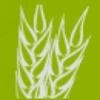 Prairie Management & Development Logo