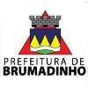 Prefeitura Municipal de Brumadinho Logo