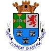 Prefeitura Municipal de Diadema Logo