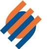 PREMA Semiconductor Logo