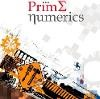 Prime Numerics Consulting Logo