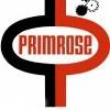 Primrose oil Logo