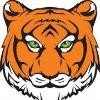 Princeton Public Schoolsb (MN) Logo
