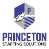 Princeton Staffing Solutions Logo