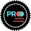 PRO Business Consulting Logo