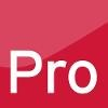 Pro-Recruitment Group Logo