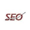 Proactive SEO Solutions Logo