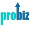 Professional Business Services Logo