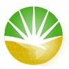 Professional Business Solutions Logo