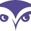 Professional Examination Service Logo