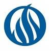 Professional Information Logo
