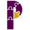 Professional Perspectives Logo