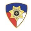 Professional Protection and Investigation Logo