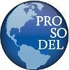 Professional Solutions Delivered Logo