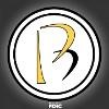 Progressive Bank Logo