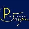 Projects4You Logo
