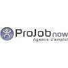 ProJobnow Logo