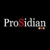 ProSidian Consulting Logo