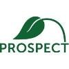 Prospect Schools Logo