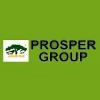 Prosper Group Logo