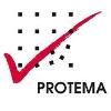 PROTEMA Unternehmensberatung Logo