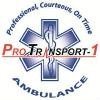 ProTransport-1 Logo