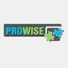 Prowise Solutions Logo