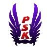 PSK Software & Services Logo