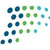 PT Access Networks Logo