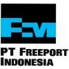 PT Freeport Indonesia Logo