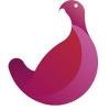 Ptarmigan Media Logo