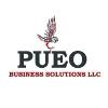 Pueo Business Solutions Logo