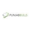 Punjabbulls Logo