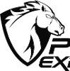 Pwnie Express Logo