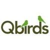 Qbirds Logo