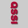 Quality System & Services International Logo
